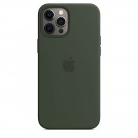 Apple Silikon Case für iPhone 12 Pro Max Zyperngrün