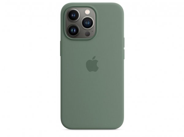 Apple iPhone 13 Pro Silikon Case mit MagSafe, Eukalyptus